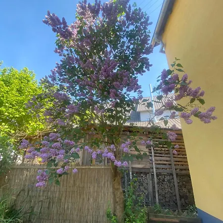 Talblick Apartmán